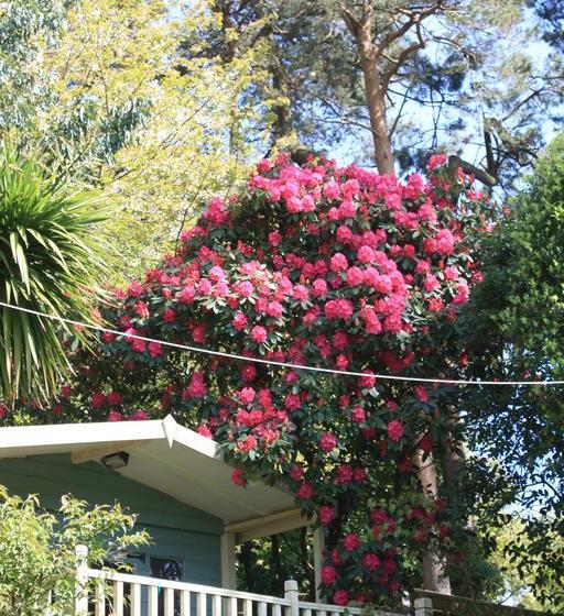 Bed and Breakfast Pine Ridge