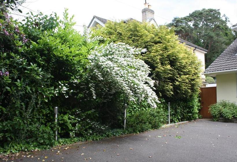 Bed and Breakfast Pine Ridge 16