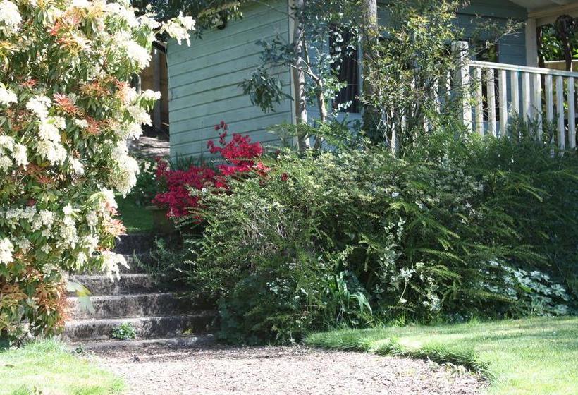 Bed and Breakfast Pine Ridge 8