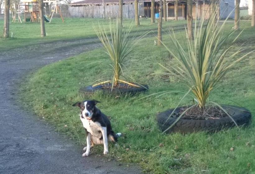 Bed and Breakfast The Malthouse