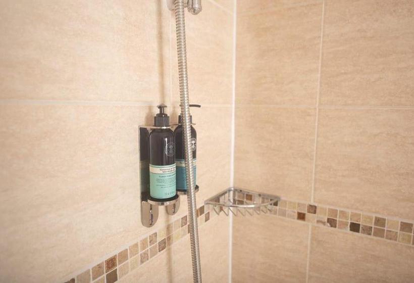 Bed and Breakfast The Elm Tree