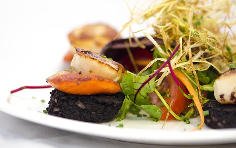 Hôtel Haddon House 3