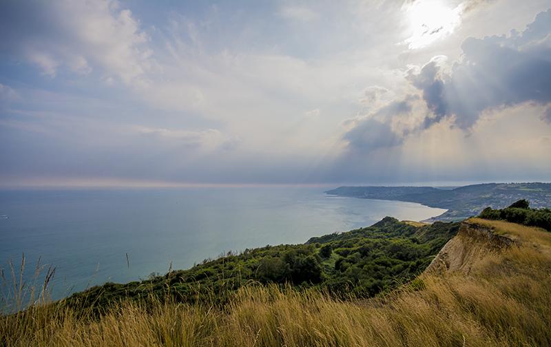 Hôtel Haddon House 4