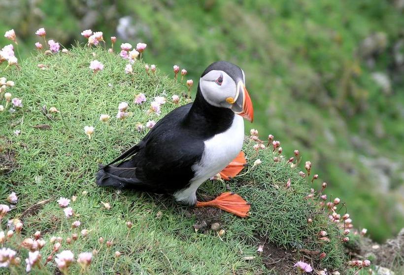 Aald Harbour Bed & Breakfast 20