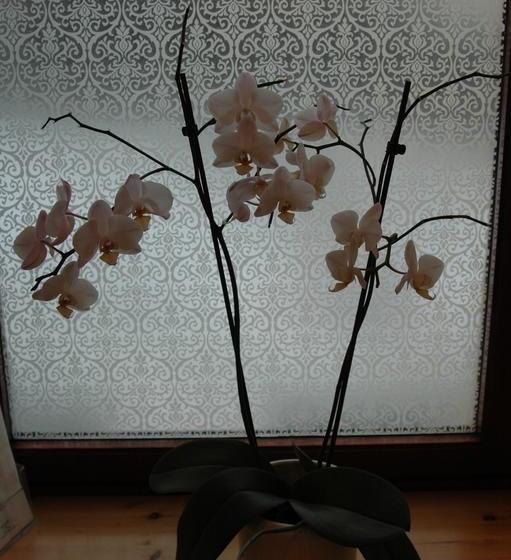 Aald Harbour Bed & Breakfast 5