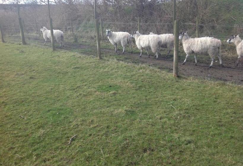 Bed and Breakfast Tregatherall Lodge 15