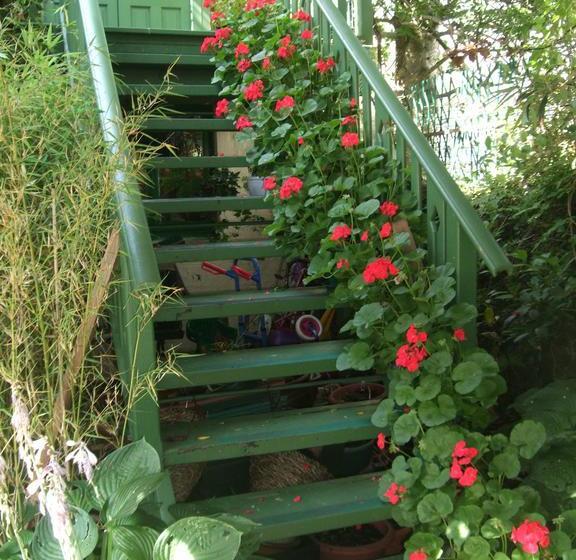 Bed and Breakfast Dana Villa Guest House