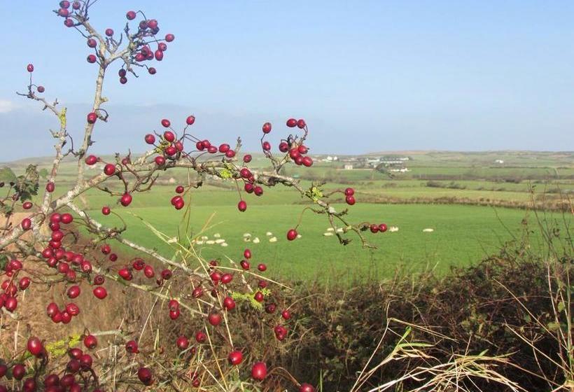 Causeway Smithy B&b 10