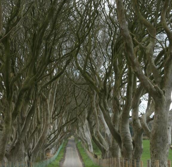 Causeway Smithy B&b 14