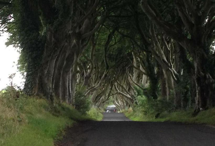 Causeway Smithy B&b 4