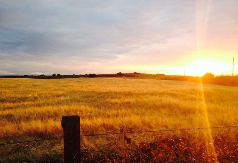 Causeway Smithy B&b 6