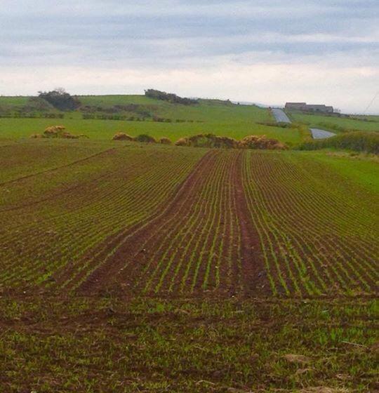 Causeway Smithy B&b 8