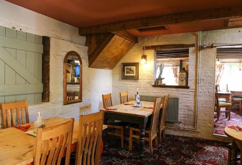 Bed and Breakfast The Dolphin