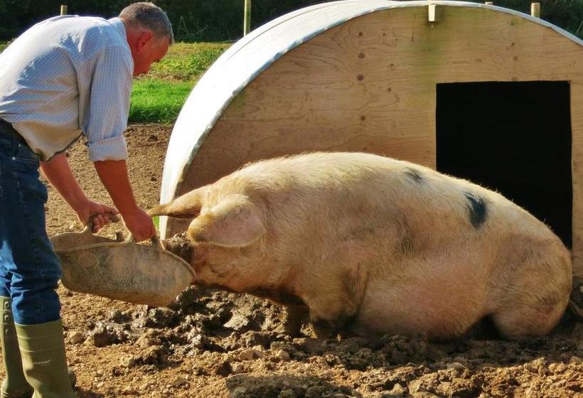 Bed and Breakfast Red Fox Barn 2