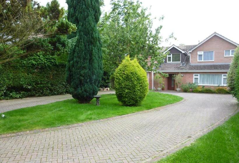 Bed and Breakfast Cameron House 5