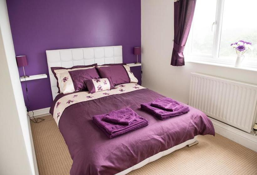 Bed and Breakfast Teifi Netpool Inn