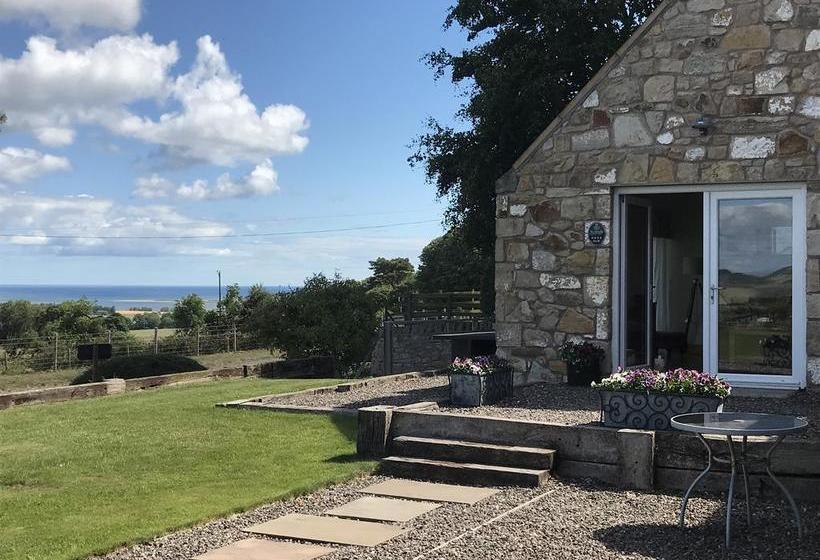 Bed and Breakfast Knockhill Farm B &b