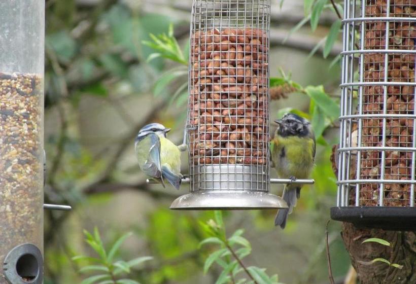 Bed and Breakfast Dale Farm House 2