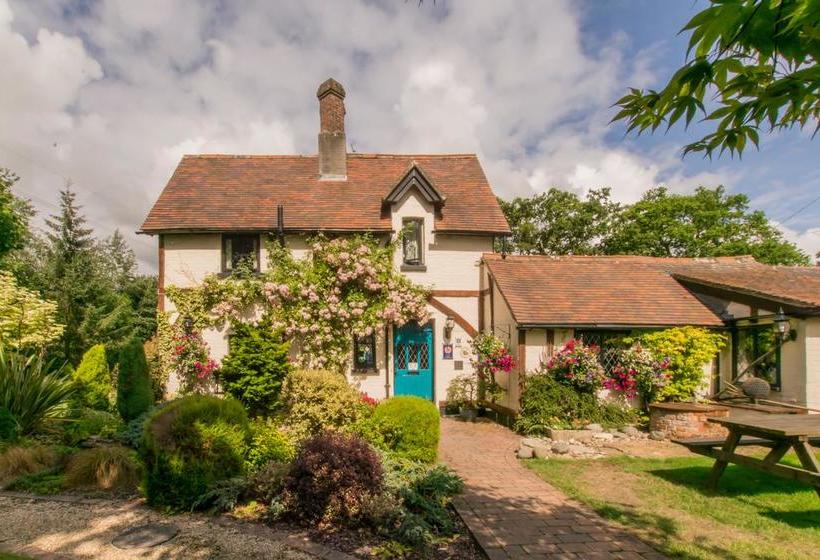 Bed and Breakfast Dale Farm House 4