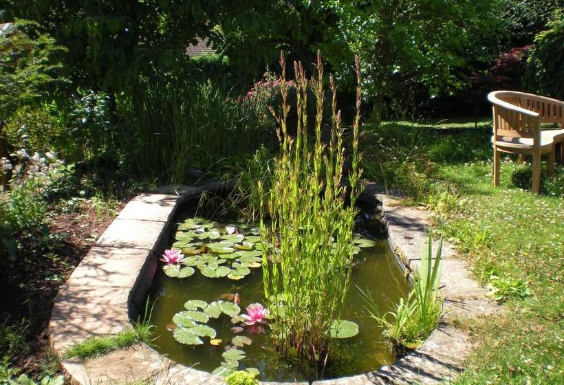 Bed & Breakfast Hillside Cottage 3