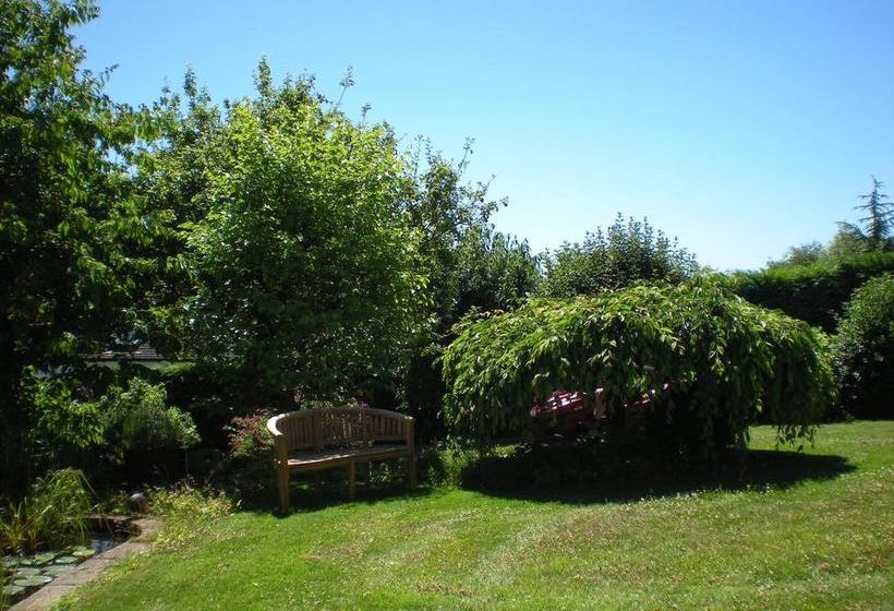 Bed & Breakfast Hillside Cottage 5