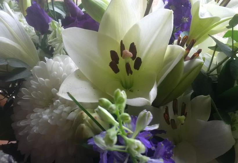 Bed and Breakfast Lochinvar 10