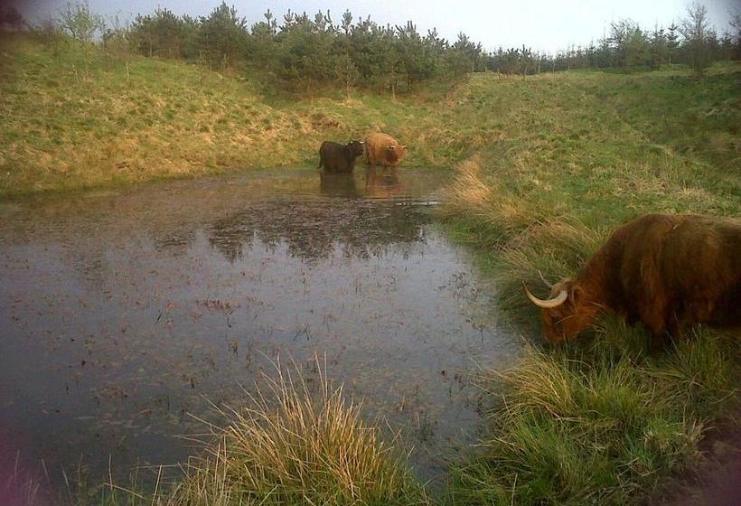 Bed and Breakfast Lochinvar 13