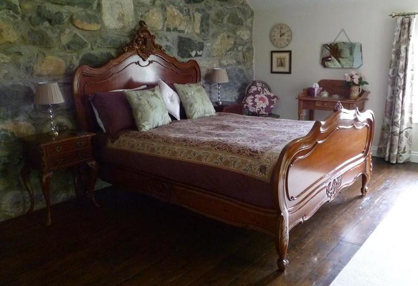 Fron Oleu Bed And Breakfast