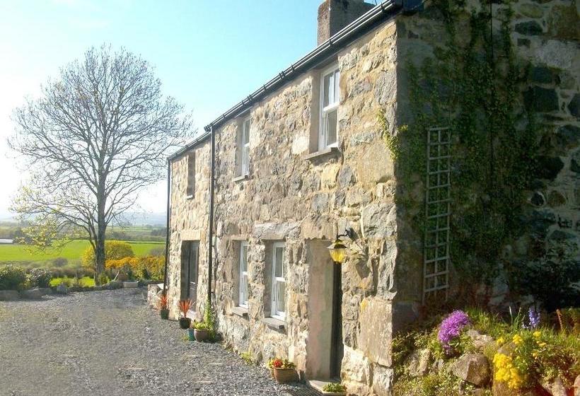 Fron Oleu Bed And Breakfast 3