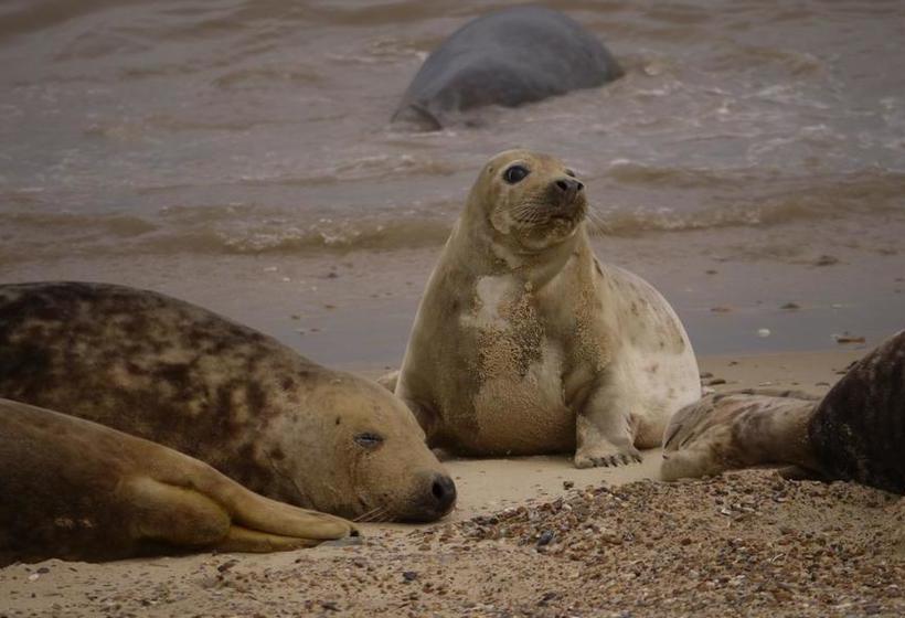 The White House B&b 14