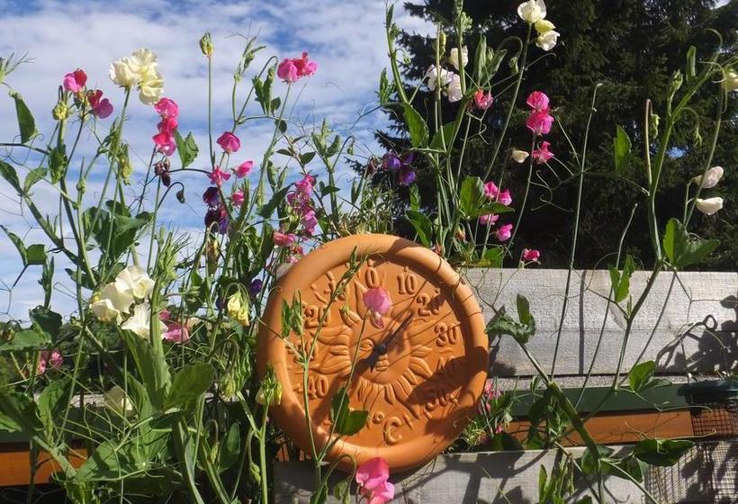 Bed and Breakfast Roth Ach