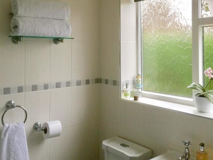 Stepping Stones B&b 2