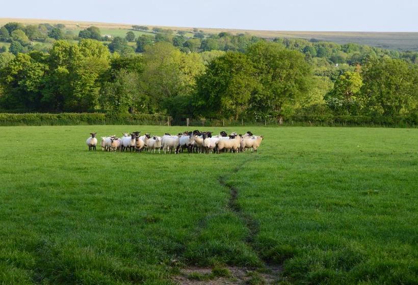 Bed and Breakfast Heathergate 13