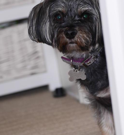 Bed and Breakfast Mory House 8