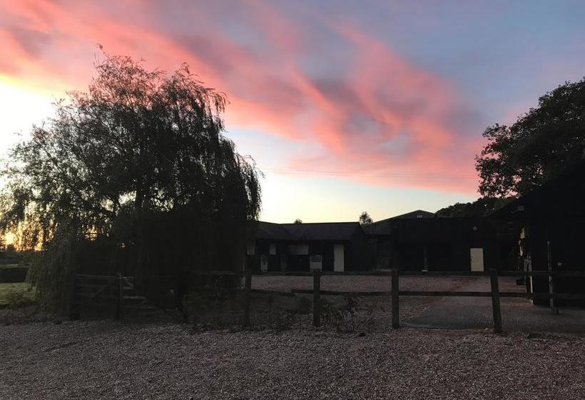 Bed and Breakfast Pleck Barn 1