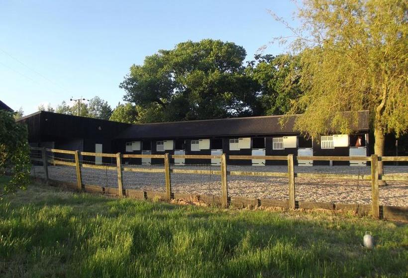 Bed and Breakfast Pleck Barn 16