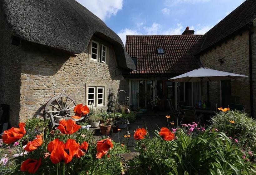 Bed and Breakfast Thatch Cottage