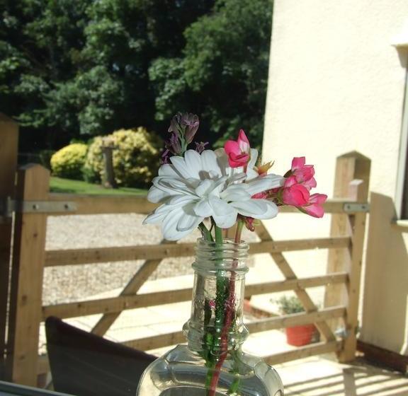 Bed & Breakfast Pine Lodge Studio 2