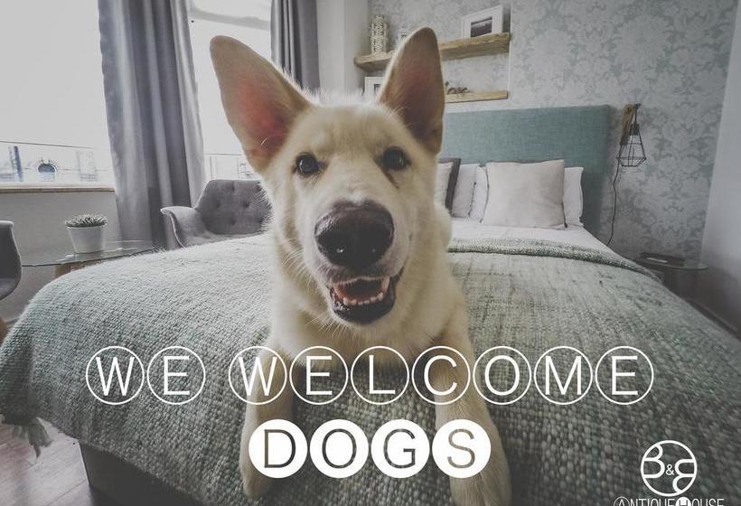 Bed and Breakfast Antique House