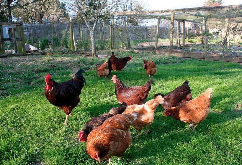 Bed and Breakfast The Old Rectory 6