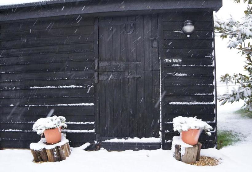 Bed and Breakfast Leyland Suites 9