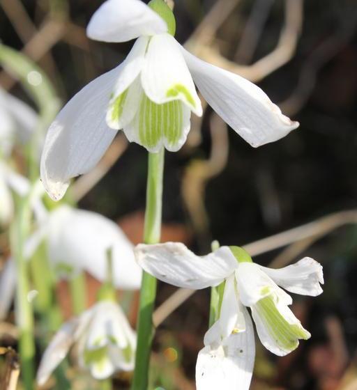 Bed and Breakfast Torcastle House 14