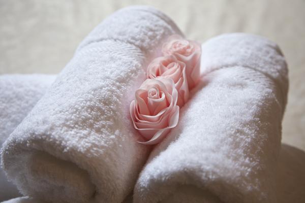 Bed and Breakfast Torcastle House 6