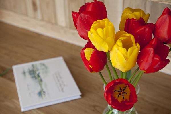 Bed and Breakfast Torcastle House 7