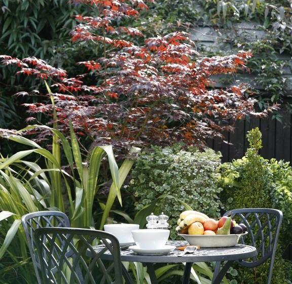 Bed & Breakfast Just So Cottage 10