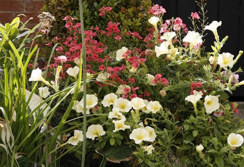 Bed & Breakfast Just So Cottage 11