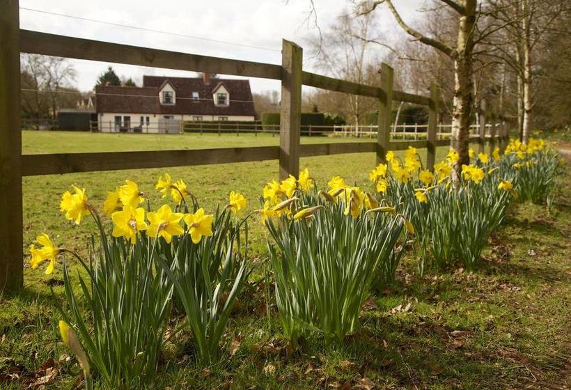 Bed and Breakfast Polstead Lodge 3