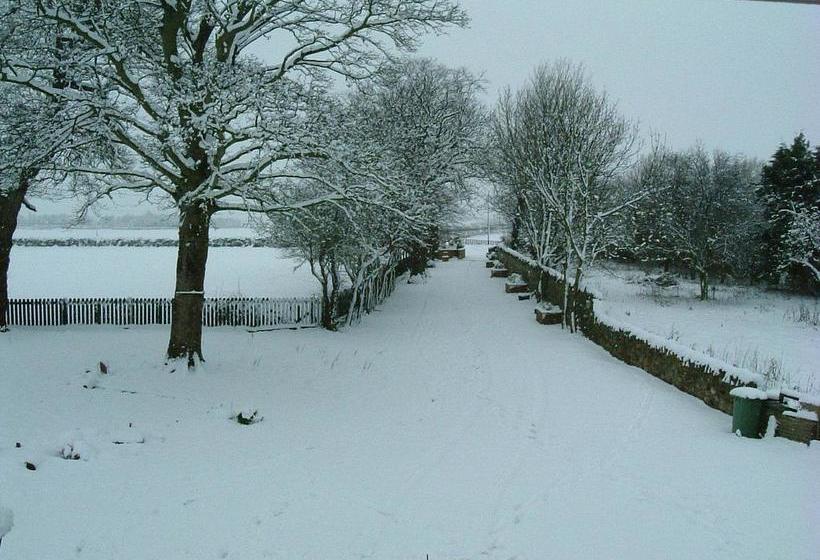 Bed and Breakfast Adniston Manor 17