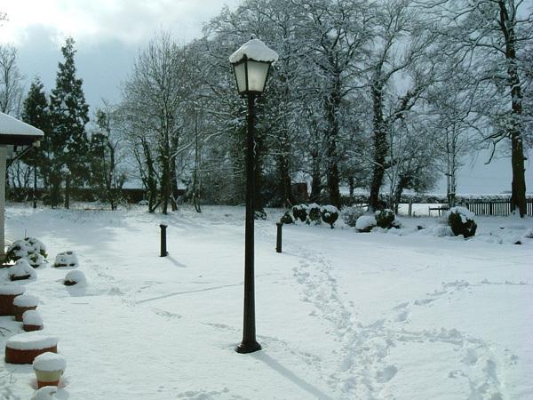 Bed and Breakfast Adniston Manor 8