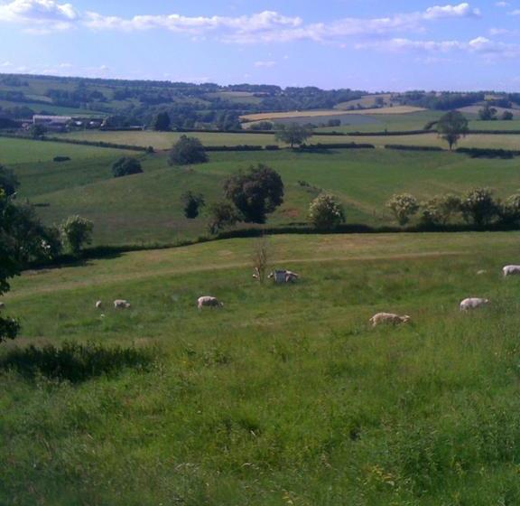 Bed & Breakfast T S B And Bs 2